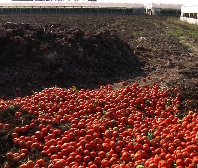 Prodhimi vendas n&euml; Shqip&euml;ri n&euml; v&euml;shtir&euml;si