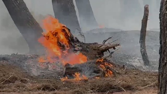 “Viti 2025 ndër më problematikët e dekadës së