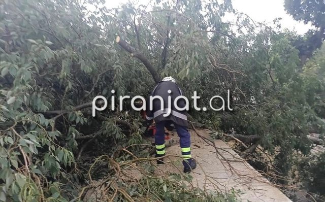 FOTO-LAJM/ Rrufet&euml; shkaktojn&euml; zjarr n&euml; Dropull. Moti i keq