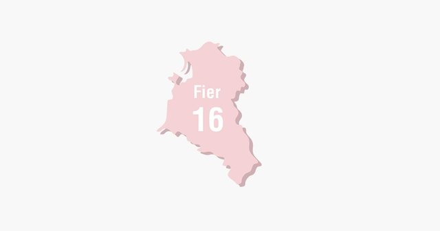 BIRN: Fieri, “faktori çam” dhe partitë e vogla mund