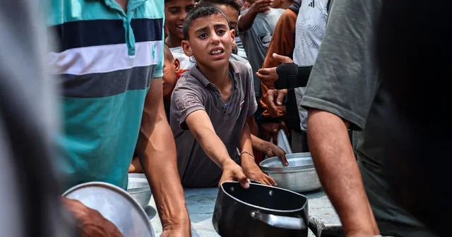 Ora Zero për Rripin e Gazës/ 14 mijë foshnje në rrezik