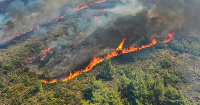 Greqi, nis lufta me zjarret/ 96 vatra aktive, Atika zona më e rrezikuar