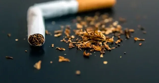 Nikotina promovohet si ndihmë për trurin, ekspertët