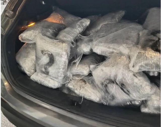 Operacion në kufirin shqiptaro-grek, kapen 96 kg drogë, arrestohet
