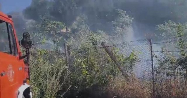 Zjarr në Lazarat/ Rrezikohen disa banesa, era favorizon përhapjen e