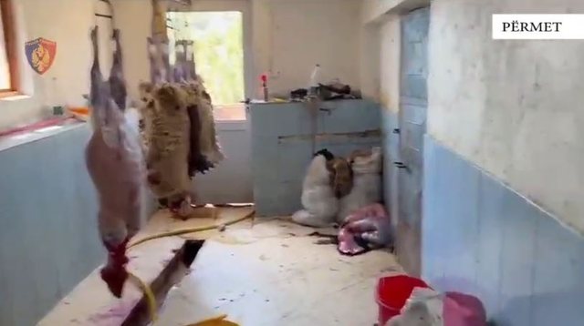 Kishte kthyer shtëpinë në thertore dhe mbetjet i hidhte në