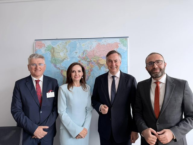 Tre deputetë të PD në PE, takohen me David McAllister: Vullnet i