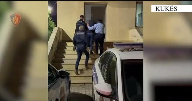 Kultivoi 3 parcela me qindra rrënjë kanabis në Kukës në
