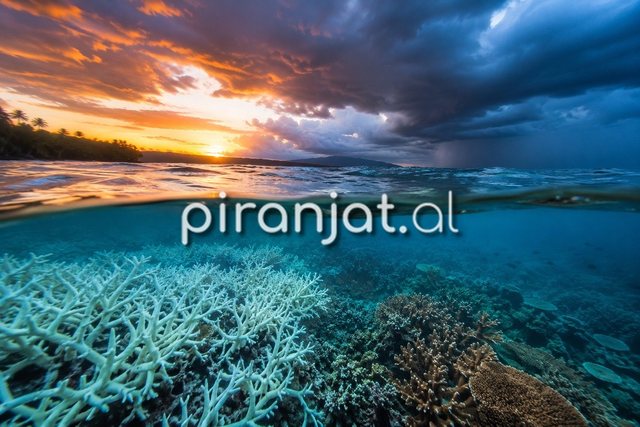 Fenomeni El Ni&ntilde;o mund t&euml; shkaktoj&euml; d&euml;me t&euml; m&euml;dha