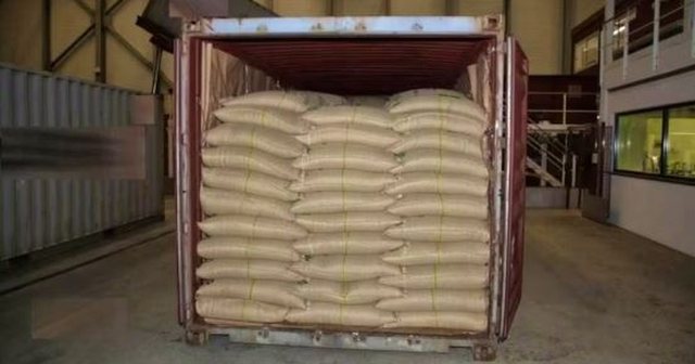 Trafikuan 500 kg kokainë me vlerë 60 milionë franga zvicerane/