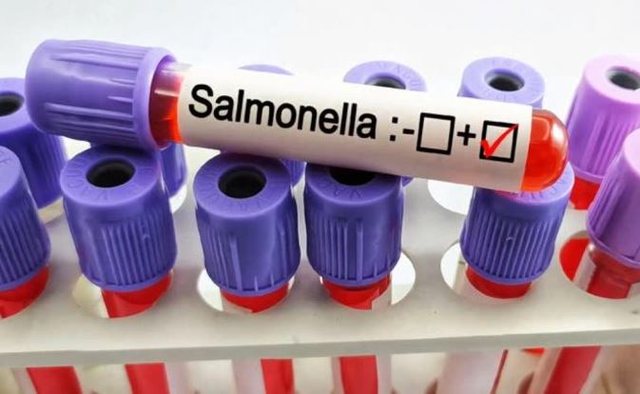 Alarm p&euml;r salmonel&euml; n&euml; Greqi, mbi 20 persona t&euml; infektuar/