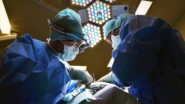 Kina realizon transplantin e par&euml; n&euml; bot&euml; t&euml;