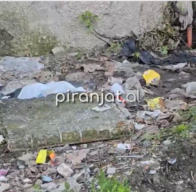 Lagjja e mbuluar nga ujërat e zeza, qytetarët ngrenë alarmin