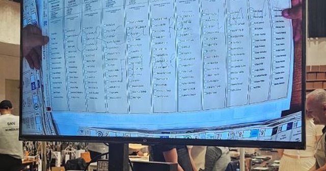 FOTOLAJM/ As Rama, as Berisha! Qytetari në Elbasan voton për ekipin e