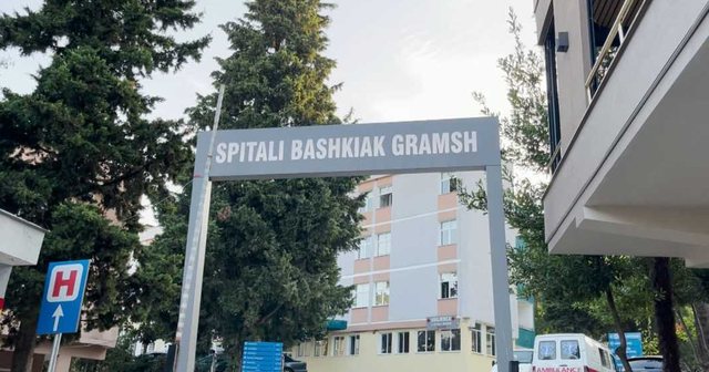 Helmimi i fëmijëve nga bakteri salmonela/ Drejtoresha e Spitalit