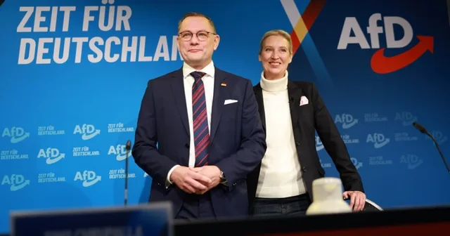Gjermani/ Klasifikimi i AfD-së si e djathtë ekstreme pezullohet
