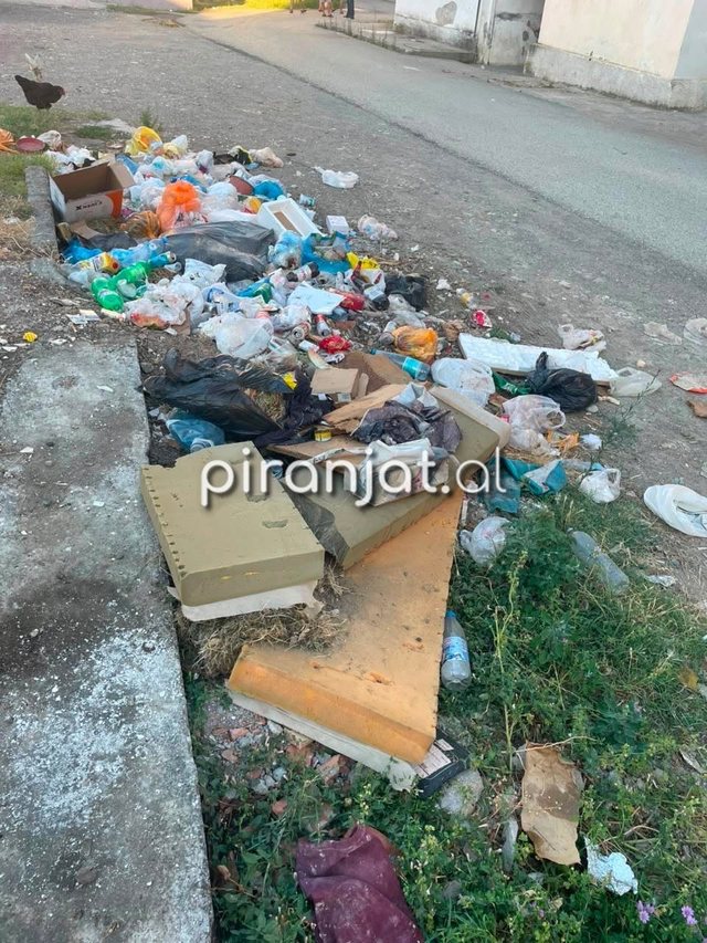 VIDEO/ Qytetari denoncon gjendjen alarmante t&euml; mbeturinave n&euml; lagjen