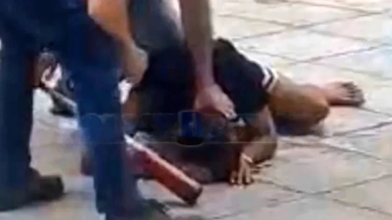 VIDEO/ Dy hajdut&euml; hyn&euml; me forc&euml; n&euml; nj&euml; sht&euml;pi,