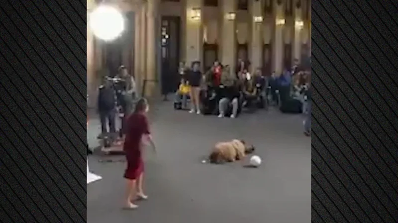 VIDEO/ Incidenti i pazakont&euml;! Presidentja rr&euml;zon me top gazetaren