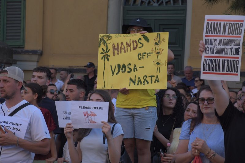 Revolucioni i Flamingove po raportohet n&euml; rrjetet sociale