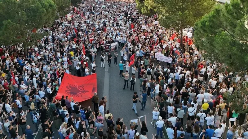 As pankart&euml;, as flamingo, qytetari proteston me &ccedil;ad&euml;r plazhi