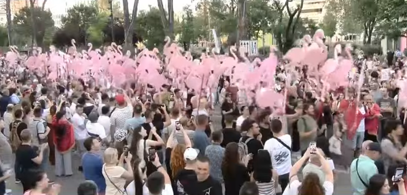 VIDEO- Pamja e ve&ccedil;ant&euml; n&euml; protest&euml;! Flamingot