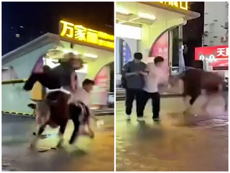 VIDEO/ Demi i arratisur nga thertorja fluturon kalimtar&euml;t n&euml; aj&euml;r
