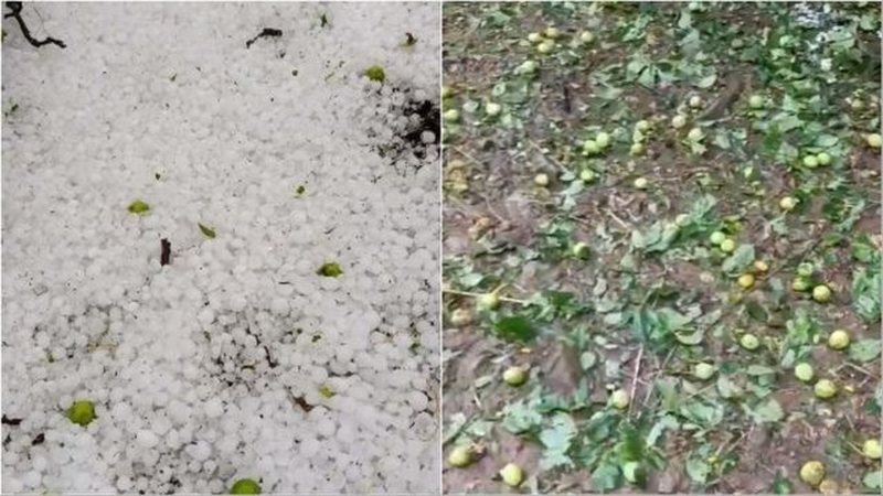 Stuhia e bresh&euml;rit n&euml; Zavalin&euml; shkakton d&euml;me t&euml;