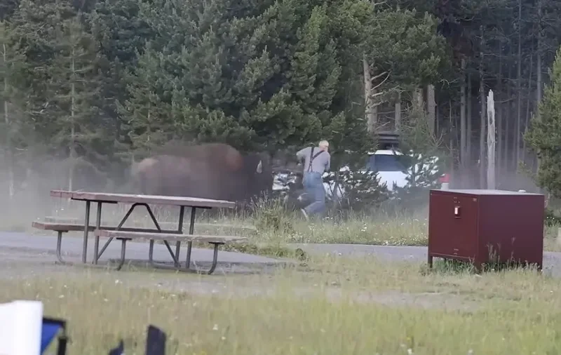 VIDEO/ Kafsha gjigante fluturon burrin disa metra n&euml; aj&euml;r si kukull
