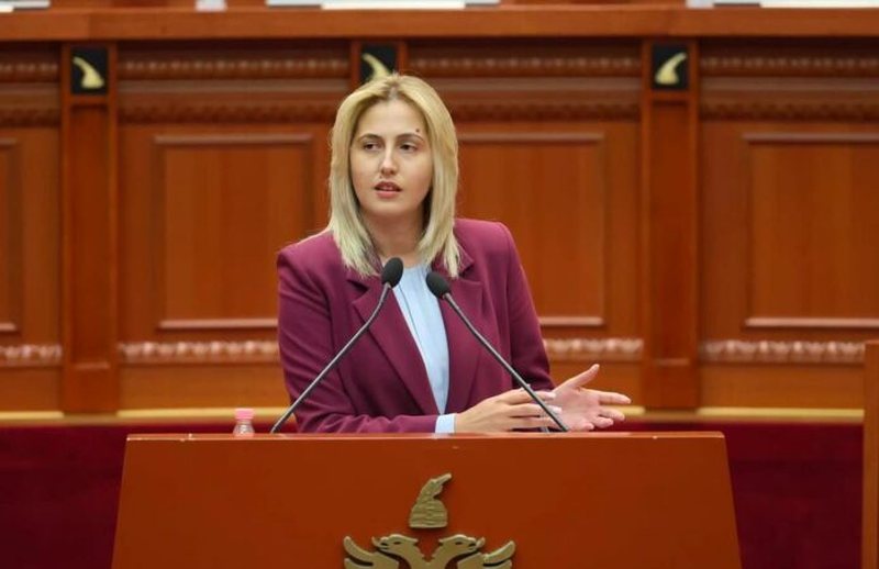 Ina Zhupa kund&euml;r planit p&euml;r shkrirjen e Delvin&euml;s dhe Konispolit: