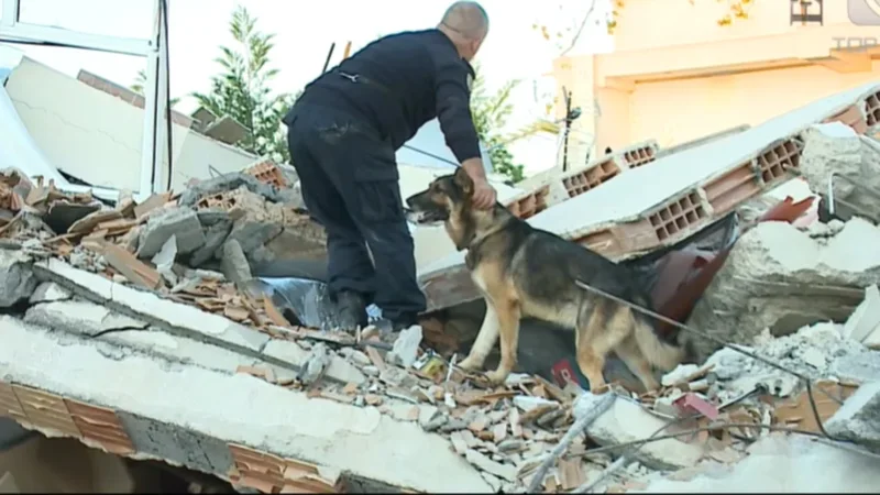 Brandi, heroi me kat&euml;r putra i t&euml;rmetit t&euml; 26 n&euml;ntorit,