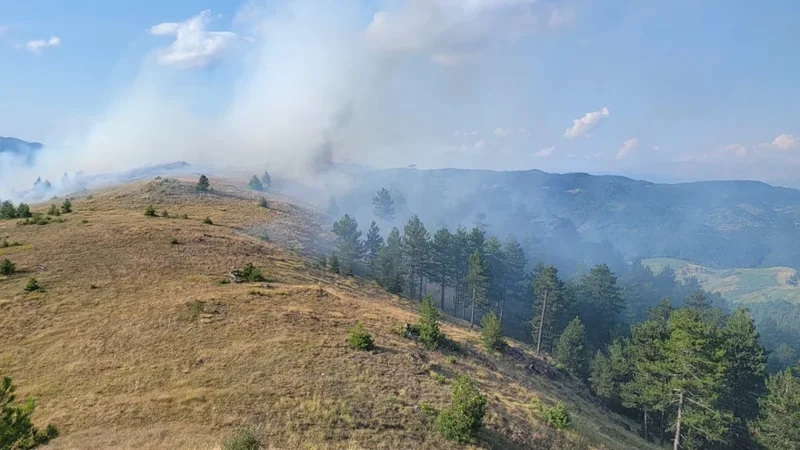 Flak&euml;t p&euml;rfshijn&euml; pyllin n&euml; Voskopoj&euml;, terreni i