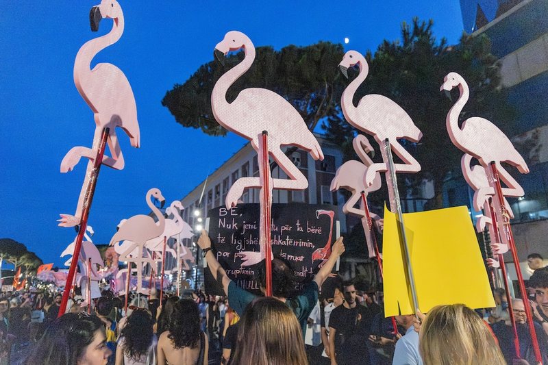 Flamingoja, simboli i ri i rezistenc&euml;s? Euractiv: T&euml; Gjelbrit shohin