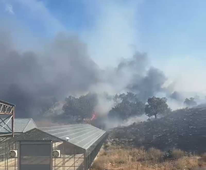 Nj&euml; zjarr i madh p&euml;rfshin fshatin Pilur n&euml; Himar&euml;