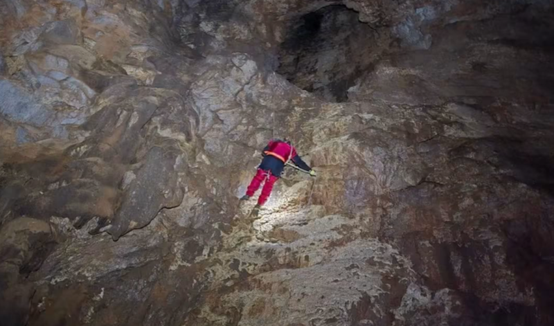 Zbulim i rrall&euml; n&euml; Parkun Komb&euml;tar t&euml; Llogaras&euml;,