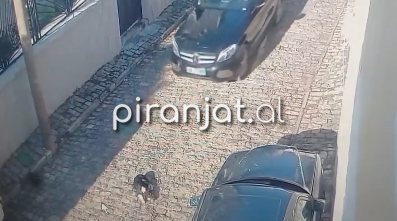 VIDEO/ E r&euml;nd&euml; n&euml; Kor&ccedil;&euml;, drejtuesi i mjetit shtyp