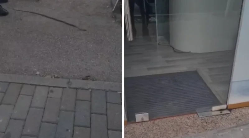 Alarm n&euml; Fier/ Gjarpri futet n&euml; nj&euml; biznes, panik te