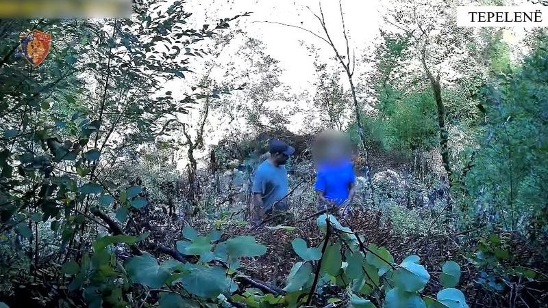 Kultivonte kanabis n&euml; vazo mes kanioneve t&euml; Progonatit, arrestohet