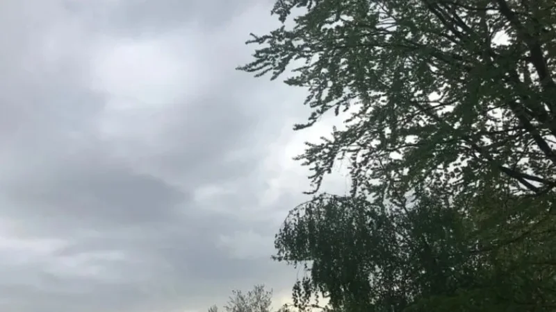 Parashikimi i motit p&euml;r dit&euml;n e sotme