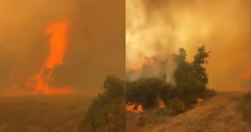 Zjarri masiv n&euml; Spanj&euml; jasht&euml; kontrollit