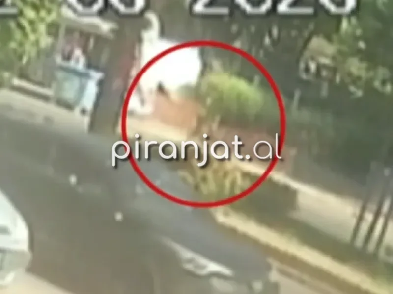 Publikohen pamjet, momenti kur Edmond Tafa ia mbath nga burgu i siguris&euml;