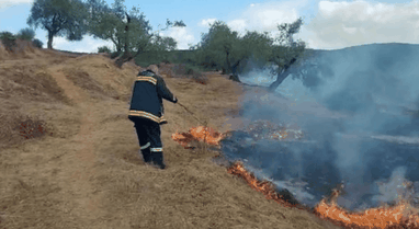 Fire reactivates in Darëzeza forest, firefighting efforts impossible