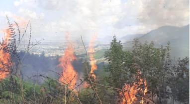 Zjarr në Berat, përfshihet nga flakët një sipërfaqe me