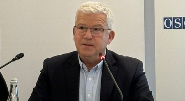 Report on "May 11", MEP in the Parliamentary Assembly of the European