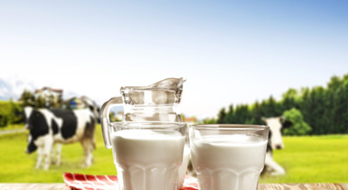 How are dairy cows "disappearing"? Albania risks becoming dependent on