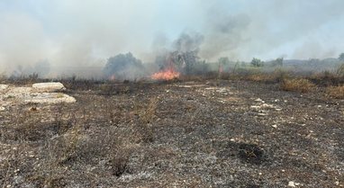 Zjarr në Zvërnec, flakët rrezikojnë dy hotele