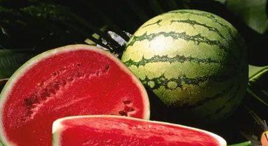 Konsumimi i shalqirit mund t&euml; ul&euml; rrezikun e s&euml;mundjeve t&euml;