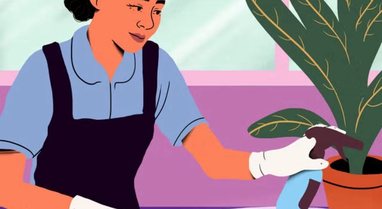 10 myths about cleaning that you should stop believing