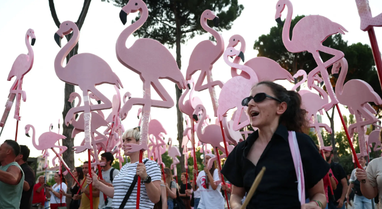 "No Protest Against Trump", New York Times: Flamingo Revolt is