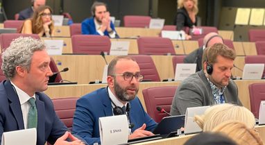 Bardhi raises the alarm in the EP: Integration does not progress with an